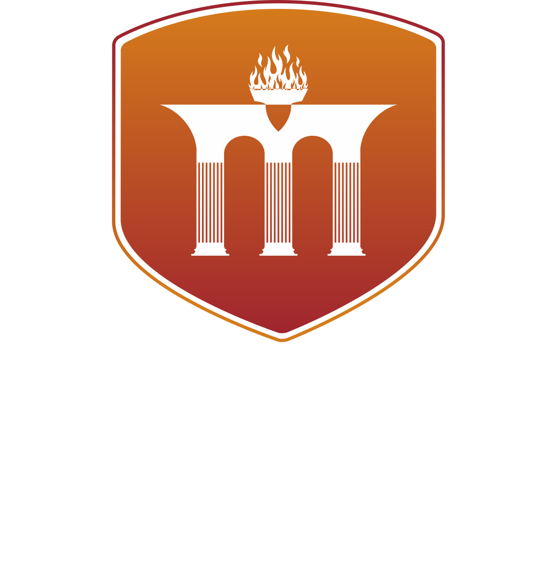 Mandsaur University